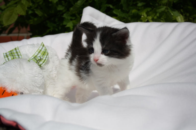 Mai_140512_IMG_2828_kl