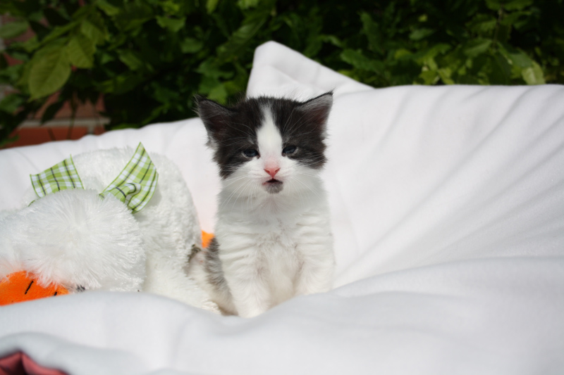 Maii_140512_IMG_2830_kl