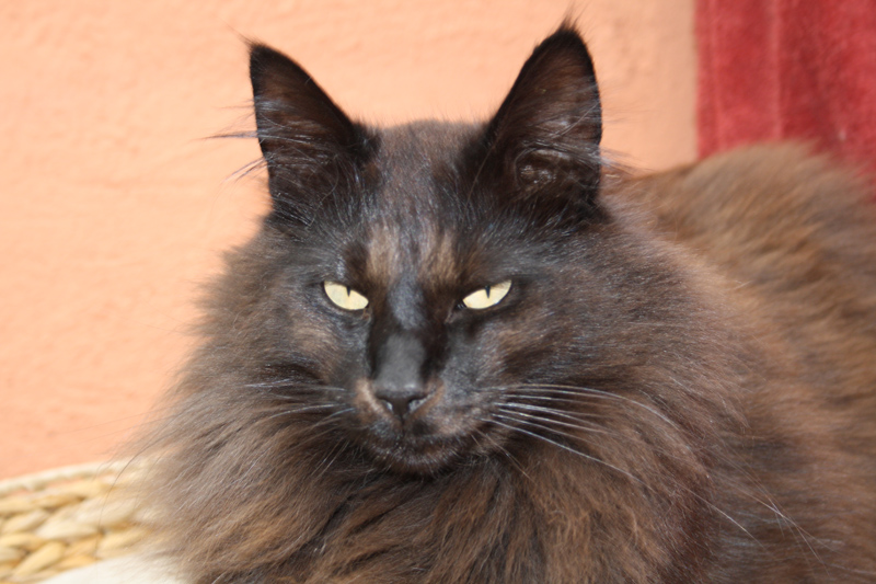 Mib_0610_IMG_0042_kl