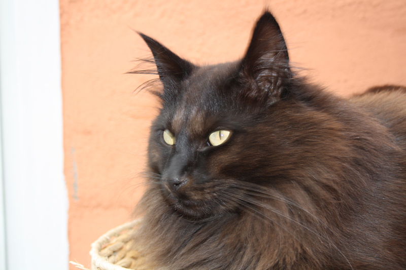 Mib_0610_IMG_0043_kl