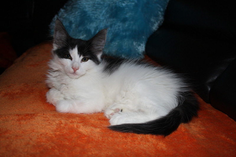 Milka_251011_IMG_2320