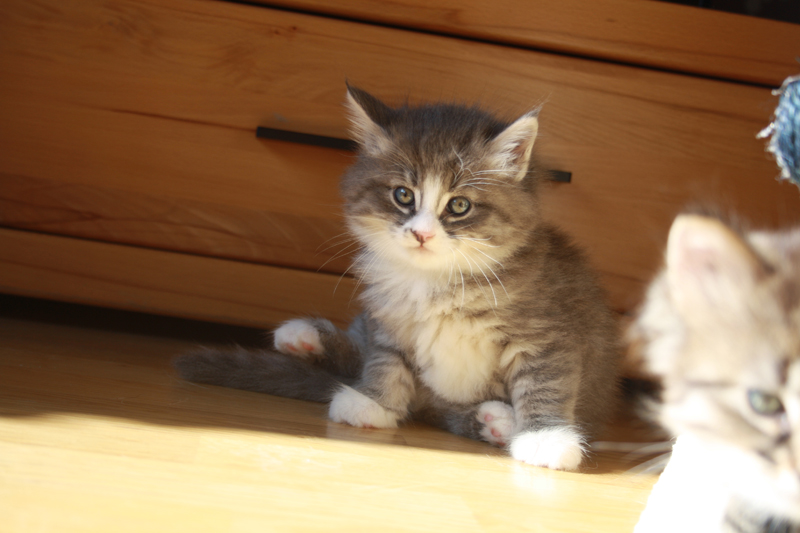 Milo_011010_IMG_0961_kl