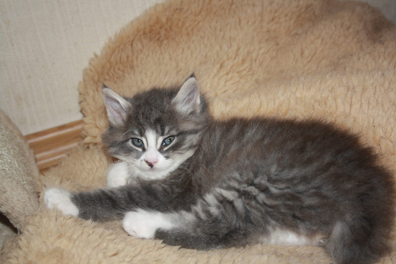 Milo_011010_IMG_0974_kl