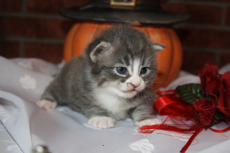 Milo_090910_IMG_0809_kl