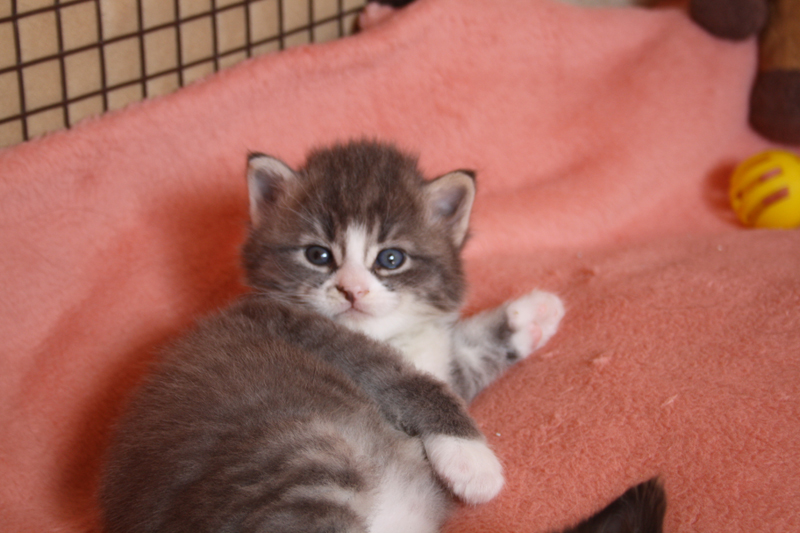 Milo_210910_IMG_0868_kl