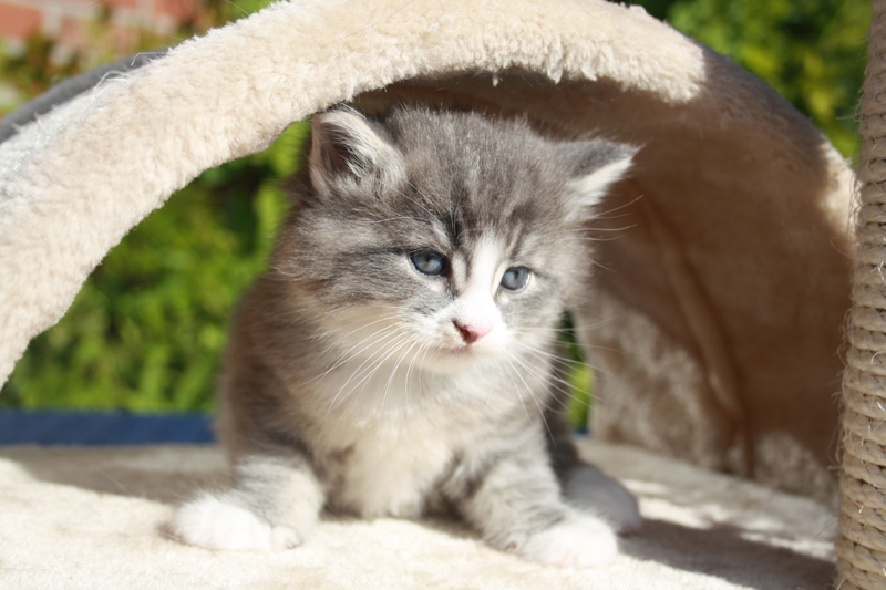 Milo_210910_IMG_0927_kl