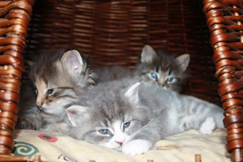 Milo_210910_IMG_0943_kl