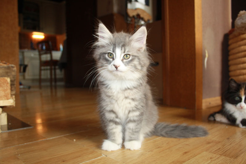 Milo_281010_IMG_1004_kl