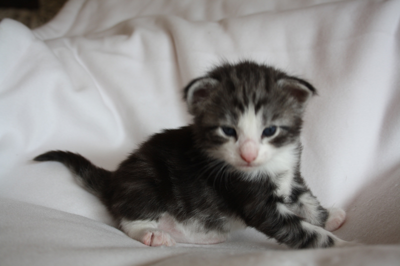 Mojito_040512_MG_2727_kl