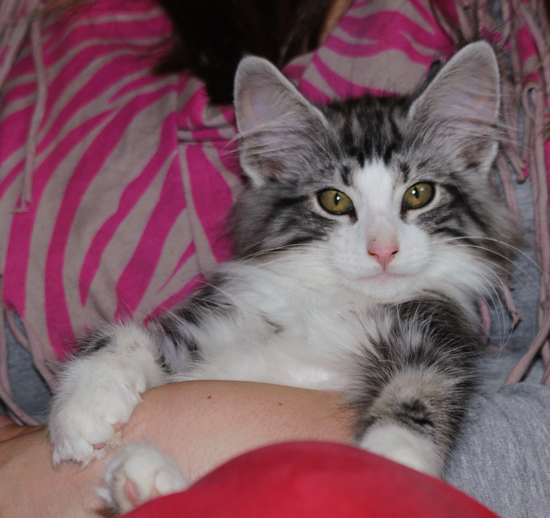 Mojito_180712_D114761_kl