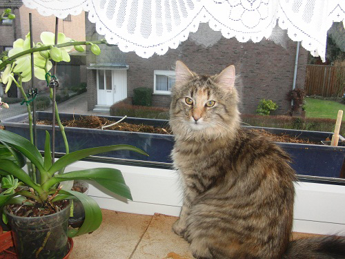 Molly_0211_CIMG4140_web