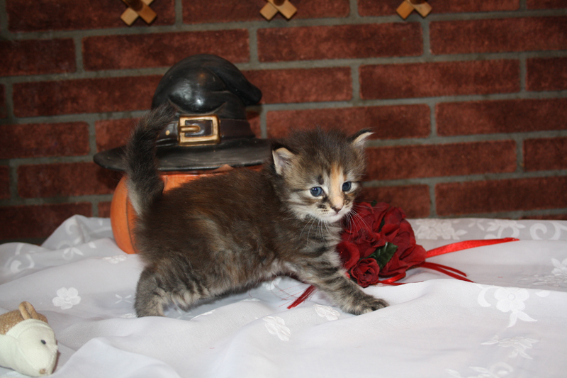 Molly_090910_IMG_0839_kl