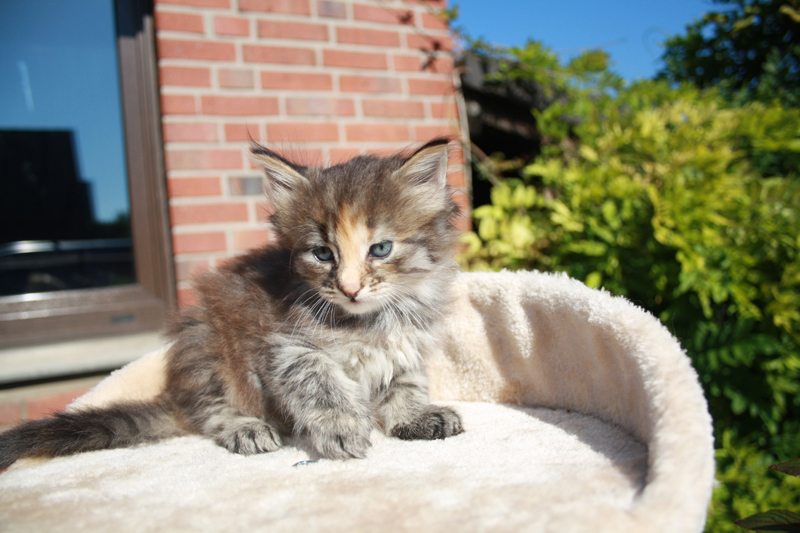 Molly_210910_IMG_0909_kl