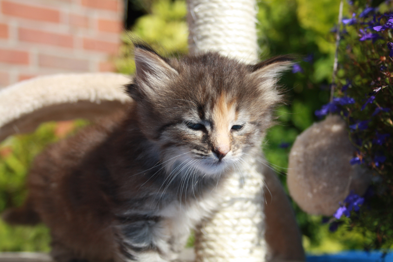 Molly_210910_IMG_0911_kl