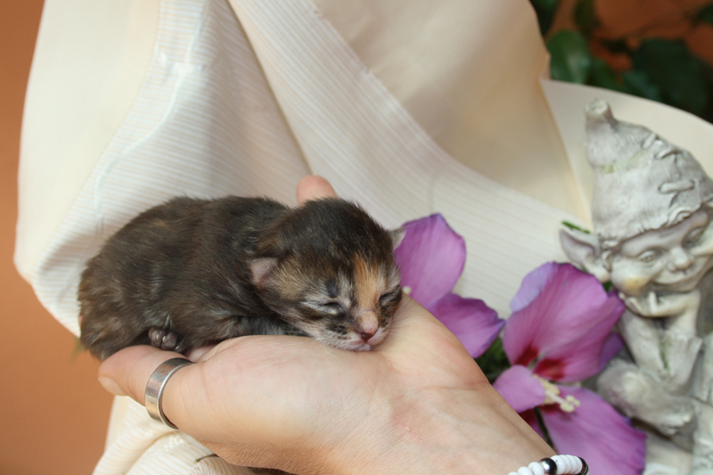 Molly_220810_IMG_0650_kl