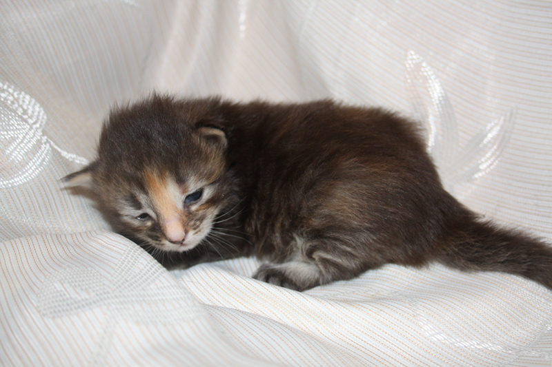 Molly_290810_IMG_0726_kl