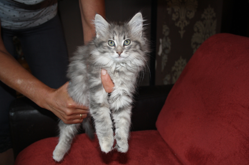 Nanouk_170711_IMG_2017_kl