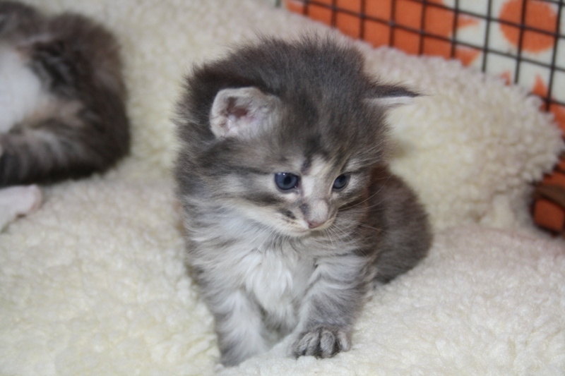 Nanouk_290511_IMG_1766