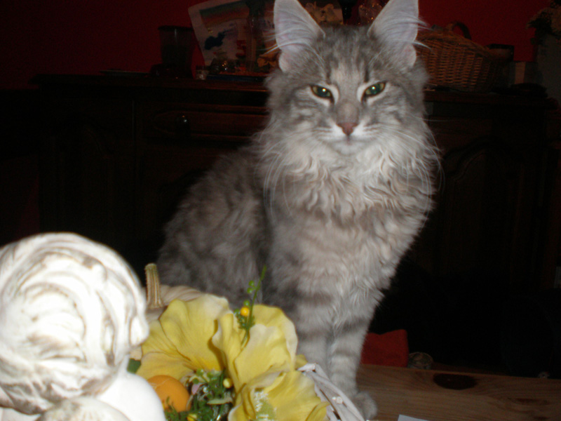 Nanouk_300911_P9200782_kl