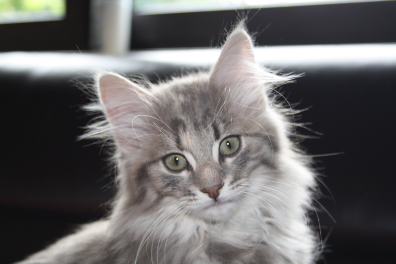 Nanouk_310711_IMG_2060_kl