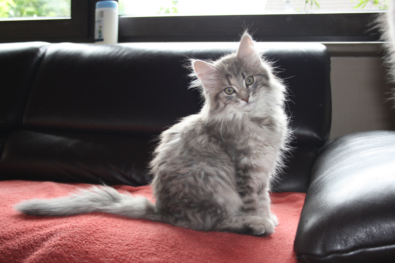 Nanouk_310711_IMG_2061_kl