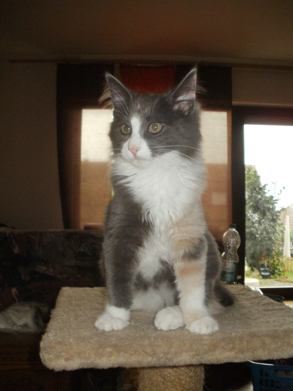 Nisha_100911_P9090104_kl