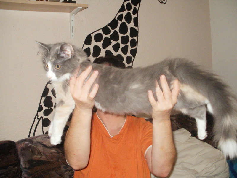 Nisha_100911_P9090105_kl