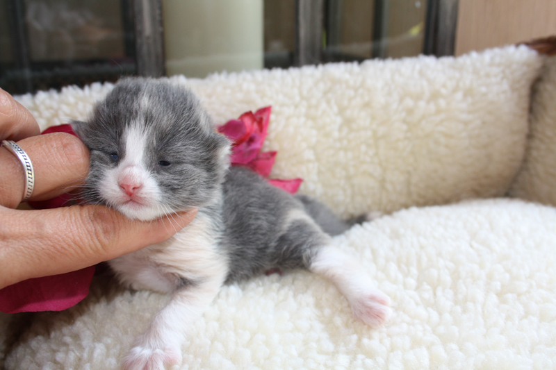 Nisha_120511_IMG_1654_kl