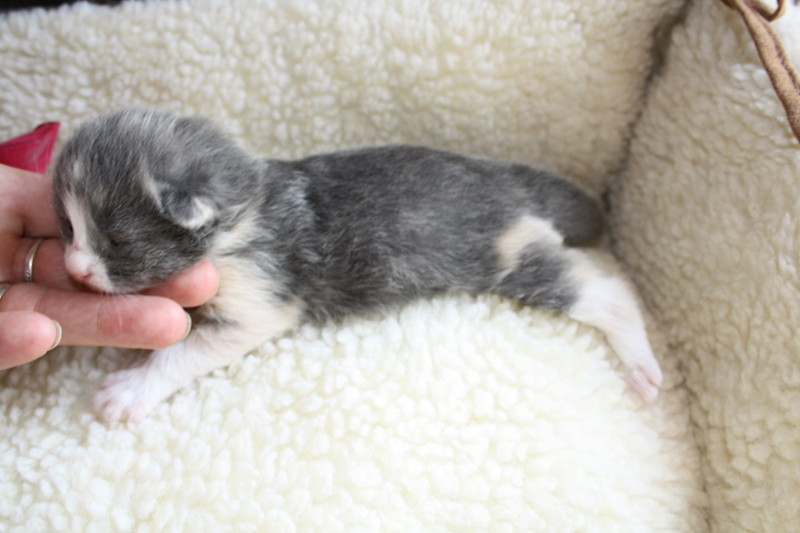 Nisha_120511_IMG_1656_kl