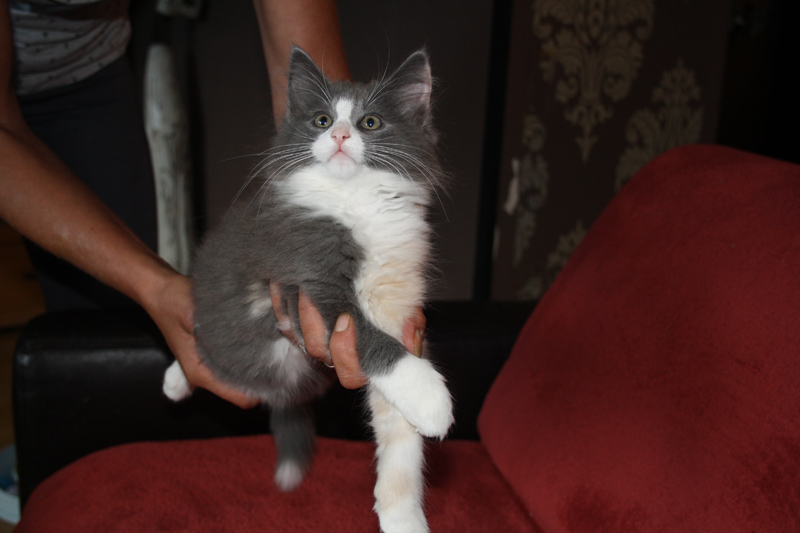 Nisha_170711_IMG_2009_kl