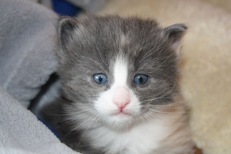 Nisha_290511_IMG_1744