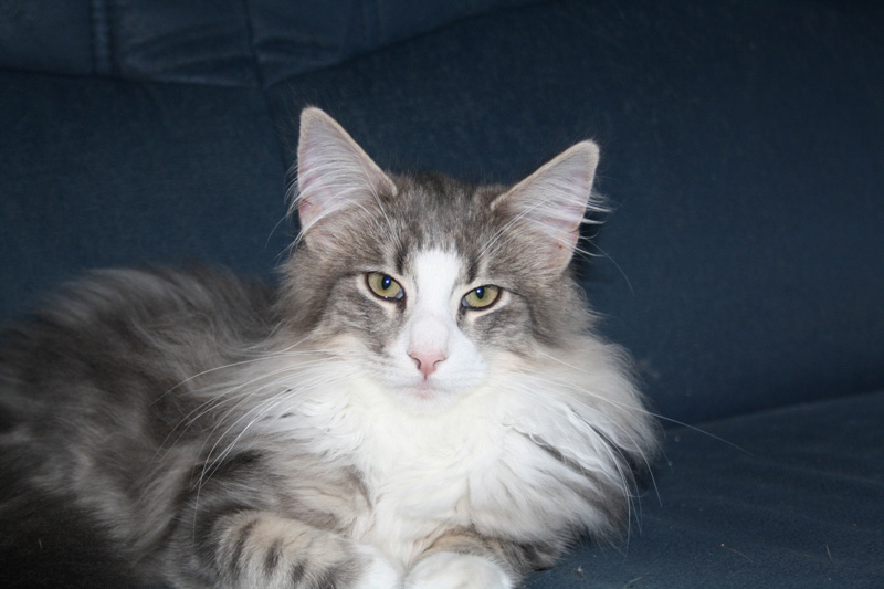 Pepper_251011_IMG_2269