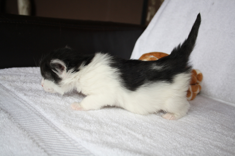 Rubina_310711_IMG_2085_kl