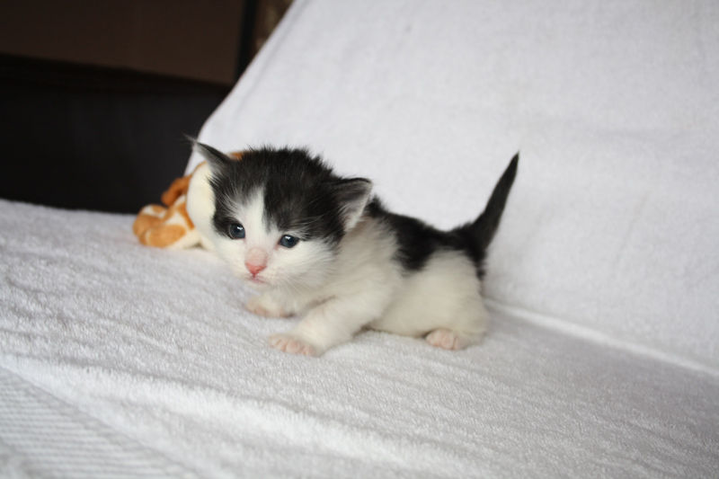 Rubina_310711_IMG_2086_kl