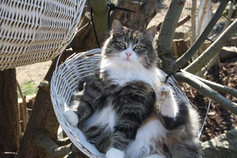 Savannah_280311_IMG_1402_kl02