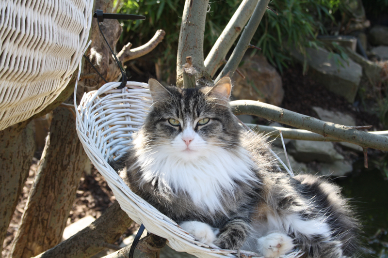 Savannah_280311_IMG_1420_kl