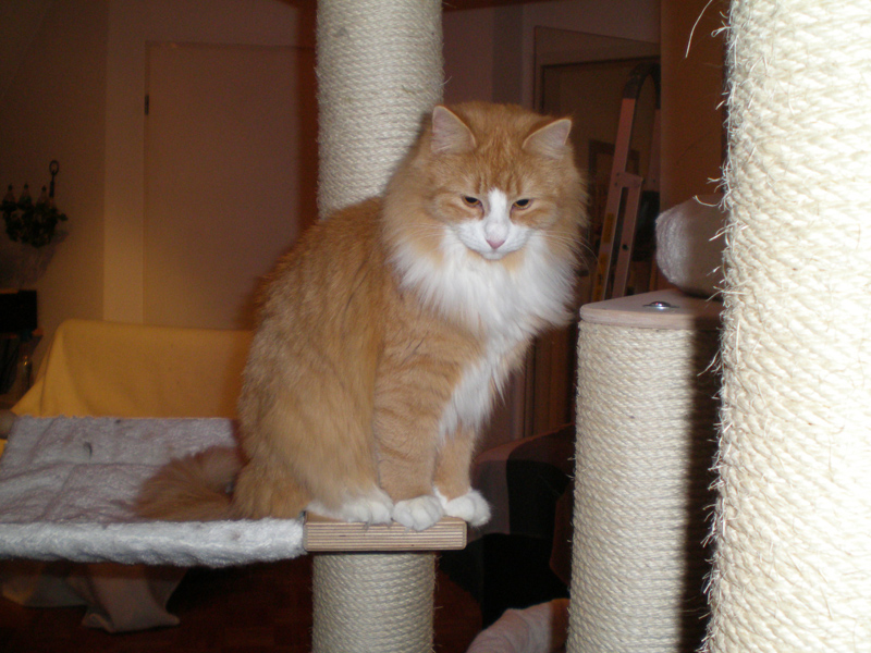 Serenga_1210_PC220153_kl