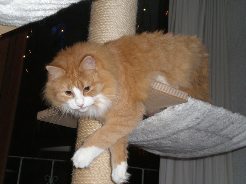 Serenga_1210_PC220157_kl