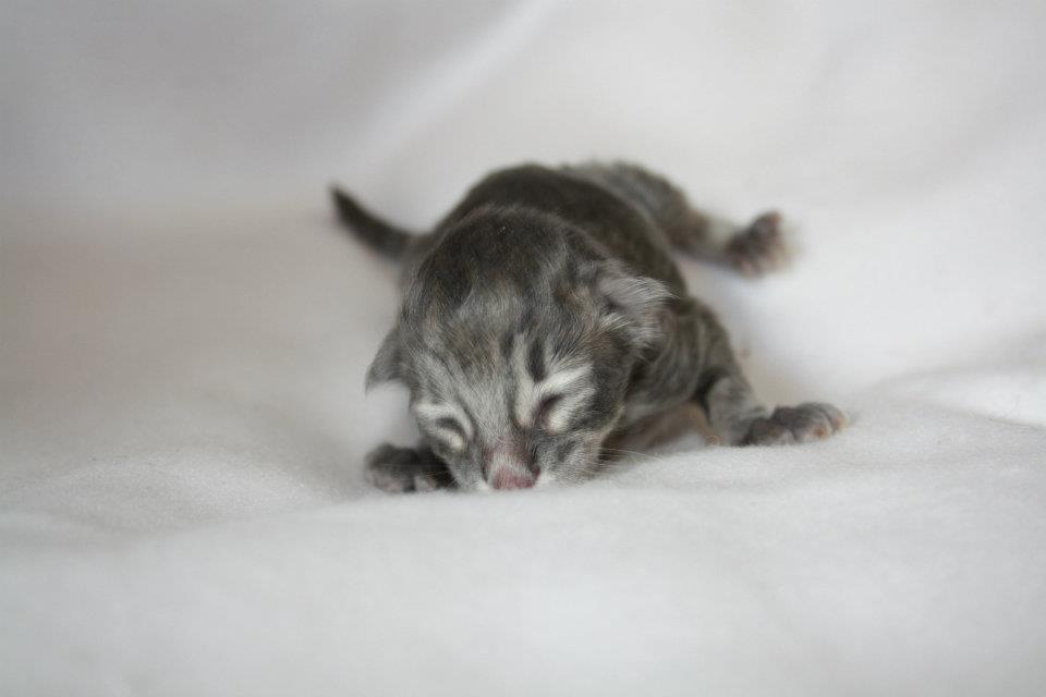 Stardust_160512_36575_382699785113601_100001207477120_1122897_1768874554_n