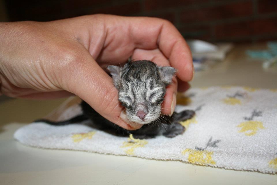 Stardust_160512_547466_382698475113732_100001207477120_1122895_1011424972_n