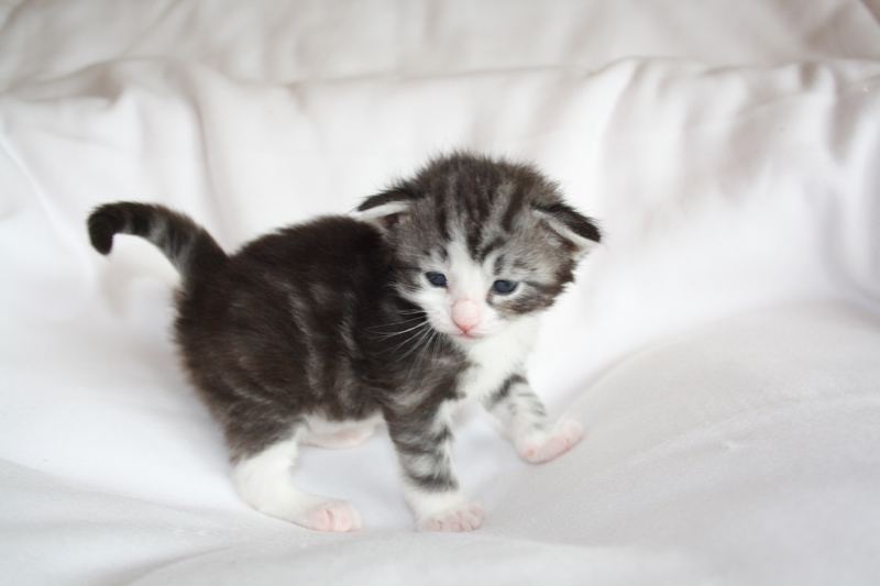 Sweet_040512_IMG_2710_kl