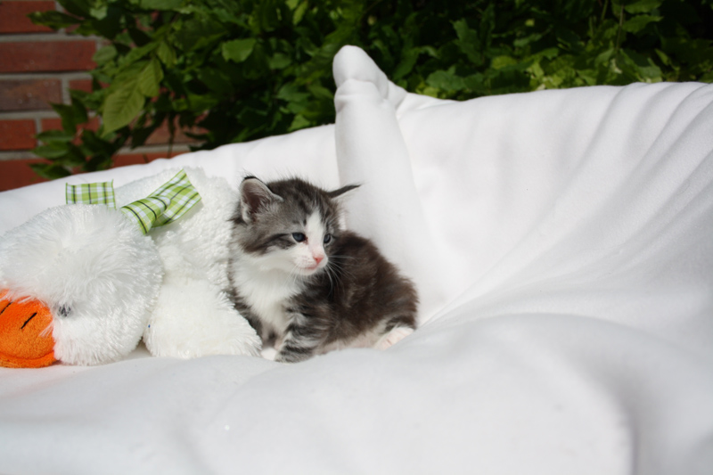 Sweet_140512_IMG_2850_kl