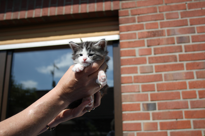 Sweet_140512_IMG_2857_kl