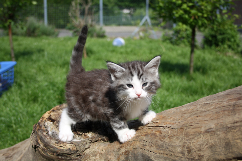 Sweet_220512_IMG_2940_kl