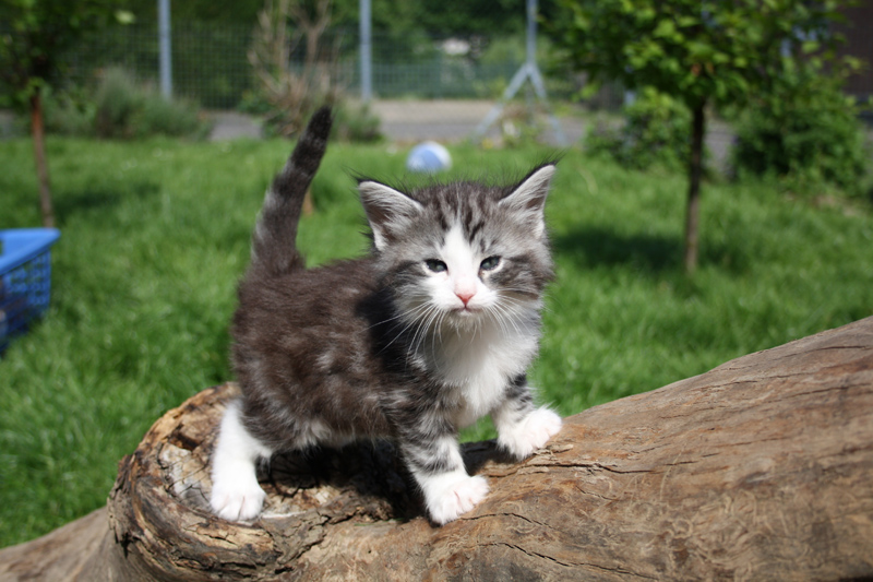 Sweet_220512_IMG_2941_kl