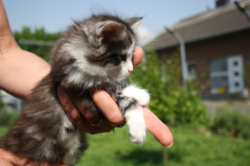 Sweet_220512_IMG_2944_kl