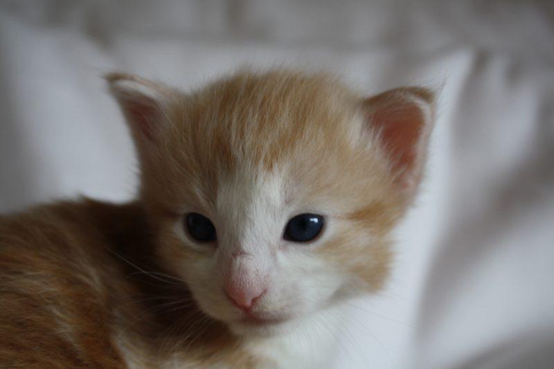 Tequila_040512_IMG_2732_kl