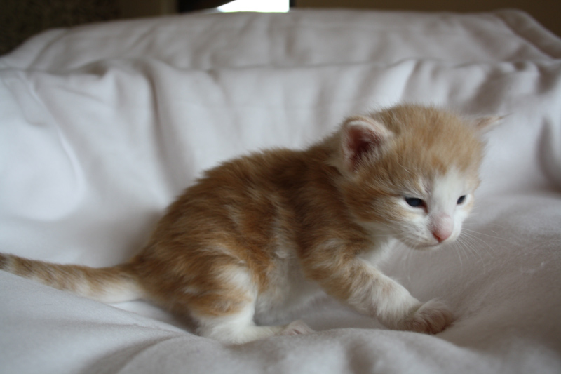 Tequila_040512_IMG_2733_kl