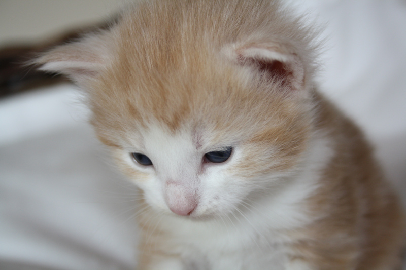 Tequila_040512_IMG_2734_kl