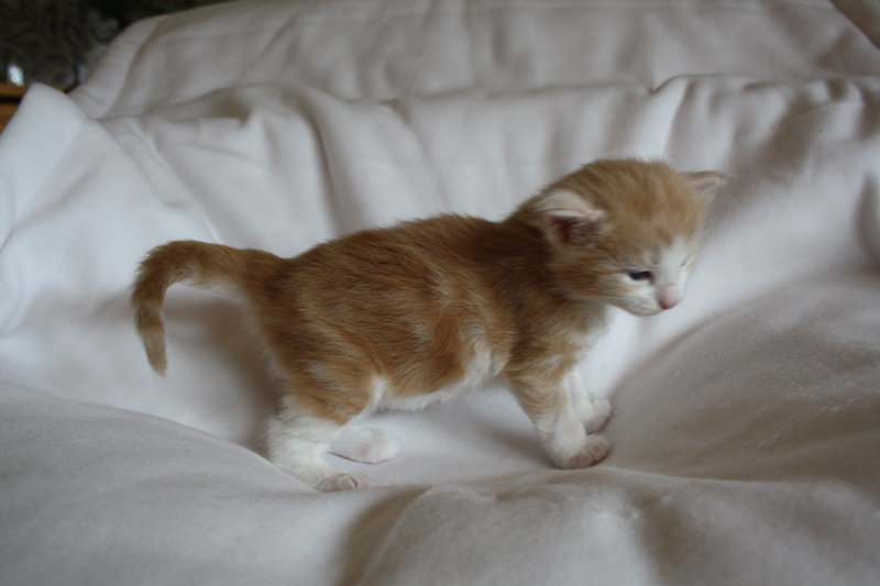 Tequila_040512_IMG_2737_kl